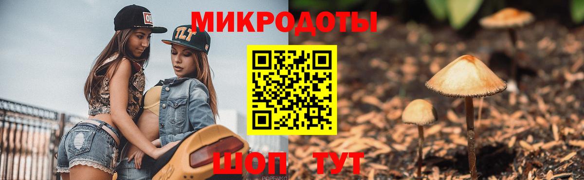 Псилоцибиновые грибы прущие грибы Усть-Джегута